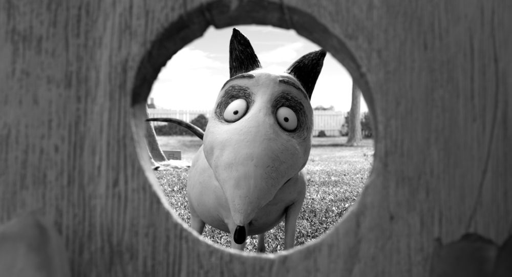 frankenweenie-2012-sparky.jpg