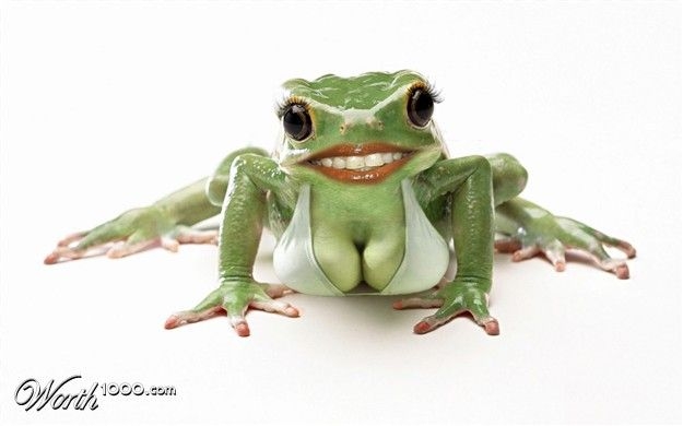 Sexy Frog2.jpg