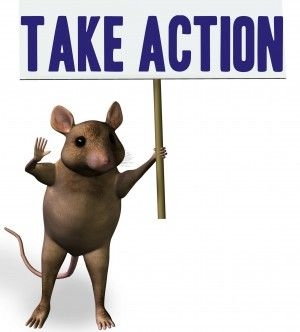 take action mouse.jpg