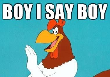 Foghorn-Leghorn boy i say boy.jpg