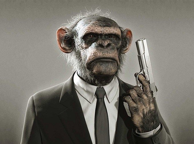 gangster-chimp.jpg